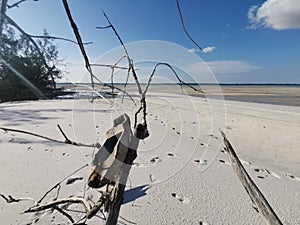 Closeup with an abandoned homemade wooden toy boat washed away on the seashore in Balambangan Island, Kudat.