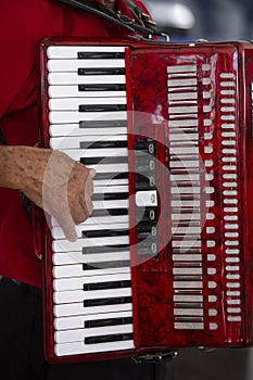 Closeup of accordionist and his instrument photo