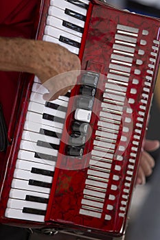 Closeup of accordionist and his instrument photo