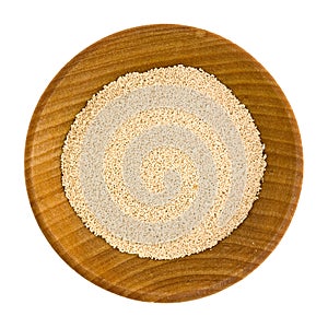 Closeup of Active Dry Yeast