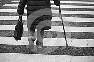 aged woman walking with stick in the street on zebra on back view