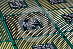 Closeup of aligned CPU Computer Processor. Background