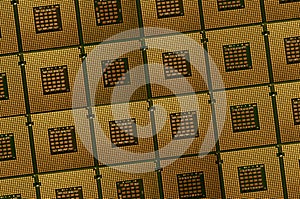 Closeup of aligned CPU Computer Processor. Background