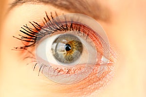 Closeup of amazing female green coloured right eye