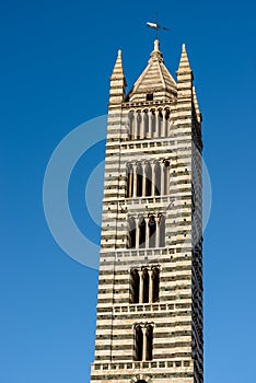 Bell tower of the Siena Cathedral - Duomo di Siena Tuscany Italy