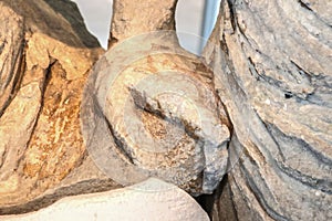 Closeup of ancient Greek sculpture hand with broken finger between two carved torsos photo