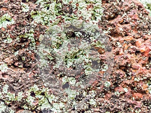 Closeup of ancient rock texture and background