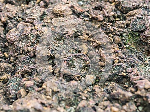 Closeup of ancient rock texture and background