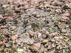 Closeup of ancient rock texture and background