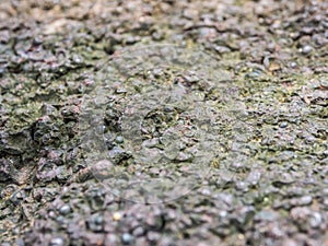 Closeup of ancient rock texture and background