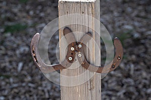 Closeup of antique horseshoes on a wooden board