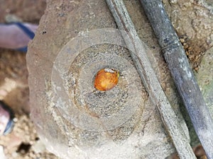 Closeup of an Areca nut over the stone