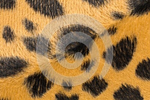 Closeup artificial tiger skin pattern