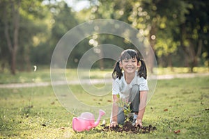 Closeup asian child girl planting a tree in green nature,two hands holding and caring,seedlings or tree growing into soil,world