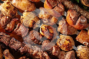 Closeup on assorted grilled shashlik kebabs