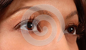Closeup of attractive woman's brown eyes photo