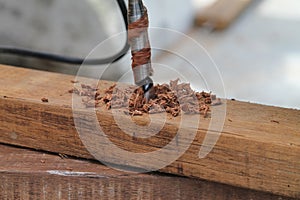 Closeup Auger bit Drilling Wood