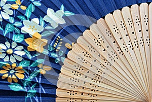 Closeup of an authentic fan