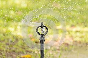 Closeup automatic lawn water sprinkler.