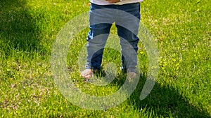 Closeup of baby feet in jeans standing on fresh green grass lawn. Kids outdoors, children in nature, baby playing outside