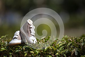 A closeup of baby sneakers on the lawn under sunlight with a blurry background