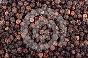 closeup background of black pepper seeds texture