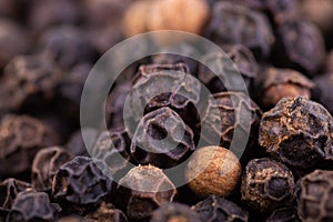closeup background of black pepper seeds texture