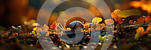 A closeup of a backlit translucent snail crawling on a twig with leaves