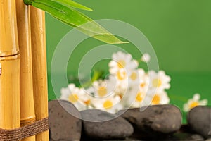 Closeup of a bamboo leaf and a bunch of daisies and stones in the background