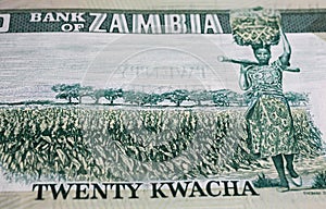 Closeup of Bank of Zambia Kwacha