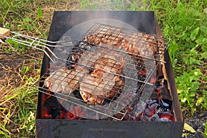 Closeup of barbecue grill with grilled meat