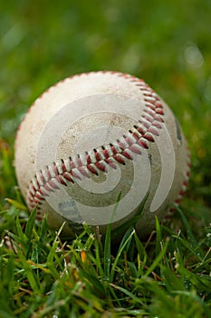 Closeup of a baseball in sitting grass on a field