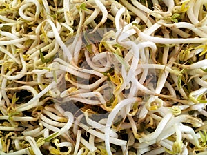 Closeup of Bean Sprouts at markets