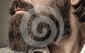 Closeup of bearded mans. Male with mustache growing. Perfect beard. Close-up of young bearded man