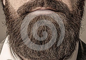 Closeup of bearded mans. Male with mustache growing. Perfect beard. Close-up of young bearded man. Close up of handsome