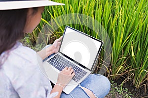 Closeup beautiful asian women sitting in the rice field and are working using a laptop mockup with blank screen