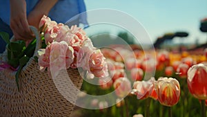 Closeup beautiful blooming flowers in basket. Unknown woman walking with bouquet