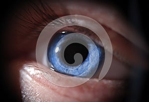 Closeup of beautiful bright blue human eye