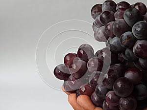 Closeup of beautiful dark red and black color grape fruits bunch isolated on white background