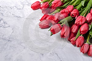Closeup of beautiful pink Tulip flowers on a marble background. Spring-summer