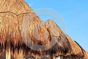 Closeup of beautiful range of straw umbrellas / bamboo parasols against blue sky. Riviera Maya, Mexico.