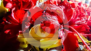 Closeup Beautiful Red Flowers And Toys . Happy Krishan Janmashtami Or Happy Radhaashtami.