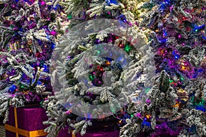 Closeup of beautifully decorated colorful Christmas trees