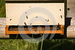 Closeup of a Beehive