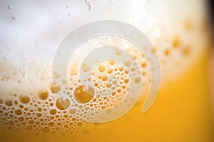 closeup of beer bubbles and froth