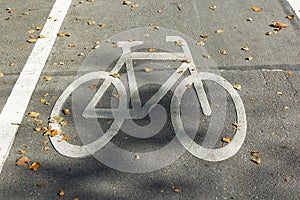 Closeup of bicycle asphalt lane demarcation