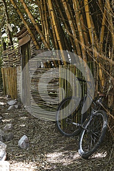 Closeup of a bicycle leaning against the bamboo fence