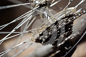 Closeup of a Bicycle Rear Gear Cog System