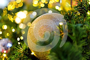 Closeup big Christmas balls in the Christmas trees background, Merry Christmas and Happy New Year concept