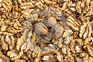 Closeup of big shelled walnuts pile. Walnut kernels and whole walnuts top view. Fresh raw walnuts full of healthy fats, fiber,